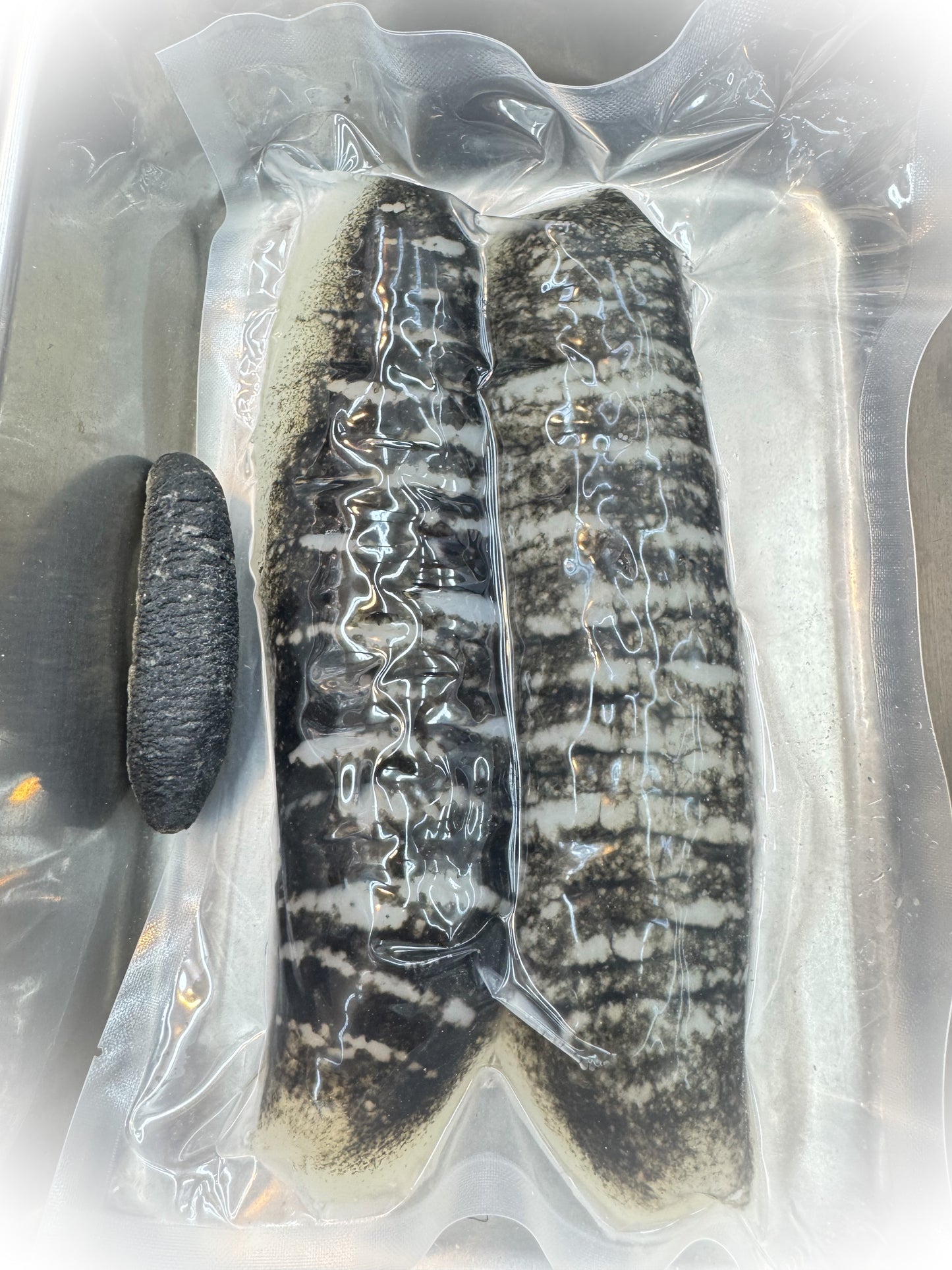 Bald Sea Cucumber(18 pieces) - 600g