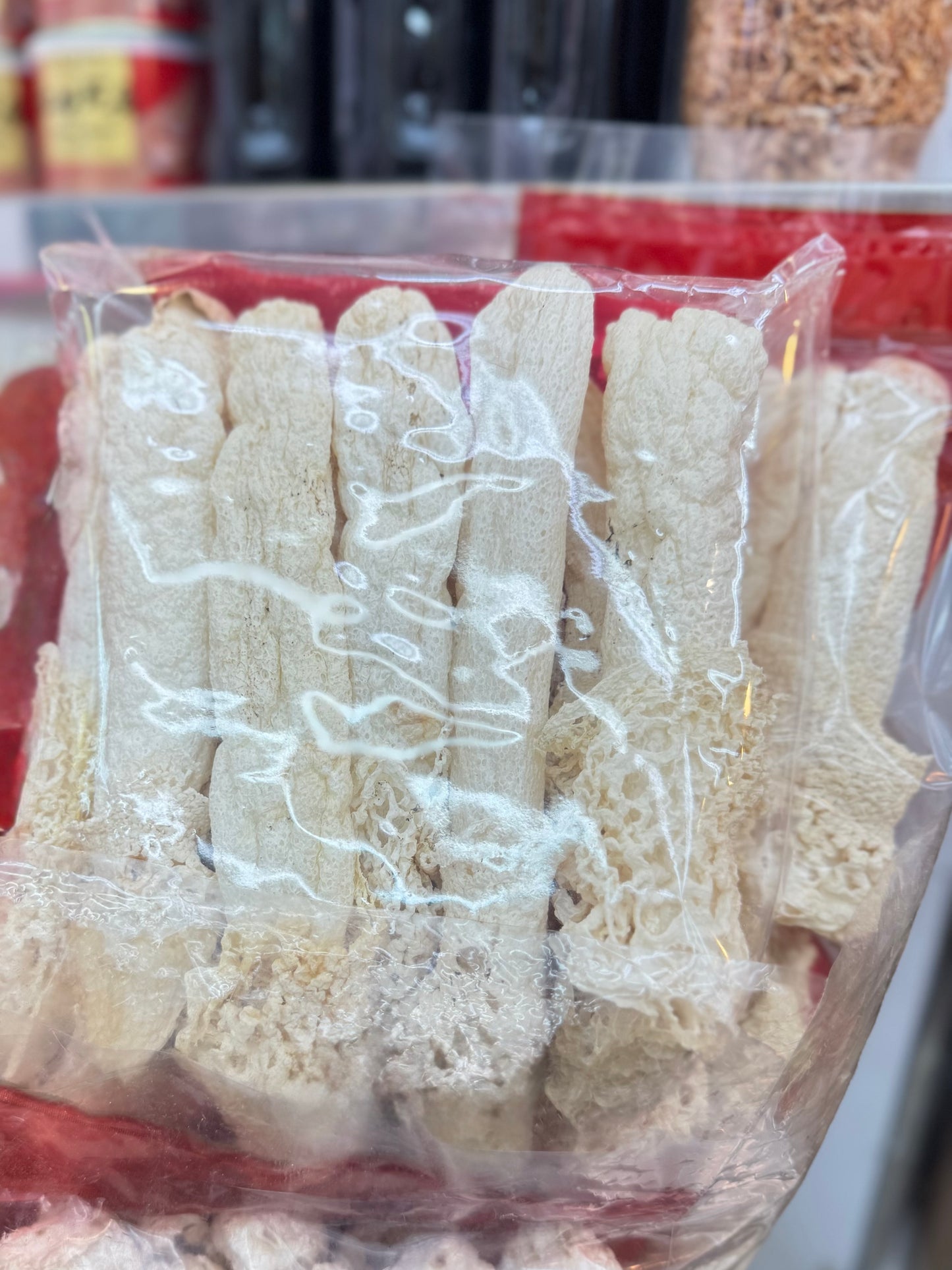 Treasures of Land & Sea Gift Set