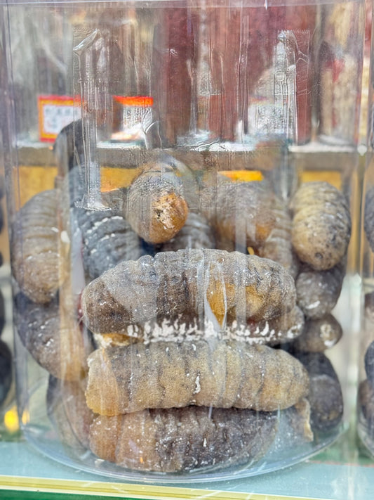 南澳禿參(3支) - 300g