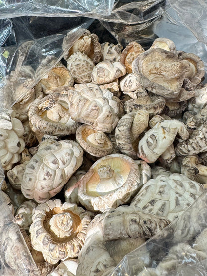 Treasures of Land & Sea Gift Set